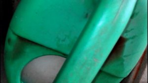 СУПЕР СРЕДСТВО ДЛЯ ПРОФИЛАКТИКИ БОЛЕЗНЕЙ И ПОДКОРМКИ ТОМАТОВ И ОГУРЦОВ