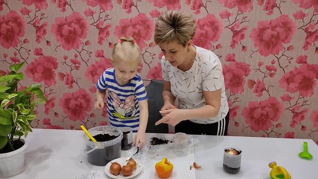 Познавательное развитие ребенка в домашних условиях смотреть онлайн