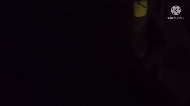 Шершни! Уничтожение гнезда. смотреть онлайн