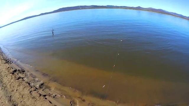 СИГ МЕЧТЫ! РЫБАЛКА НА АМУРЕ 2020 смотреть онлайн