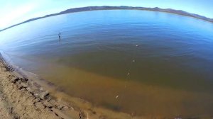 СИГ МЕЧТЫ! РЫБАЛКА НА АМУРЕ 2020