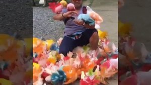 Все разновидности голубей!!!!