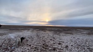 КАЗАХСТАН. КРЕСТЬЯНСКОЕ ХОЗЯЙСТВО. НЕТ СНЕГА. ВЛОГ