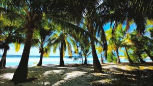 Relax on the Beach | Most Beautiful Tropical Oasis ? Under the Shade of Palms??? 3D Stereo