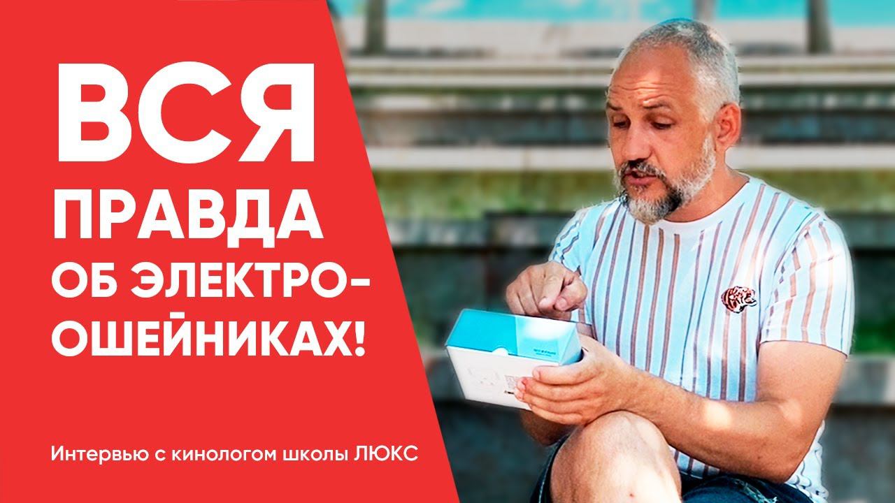 Интервью с кинологом школы "ЛЮКС" Никитой Дроздовым | Amazin.su смотреть онлайн