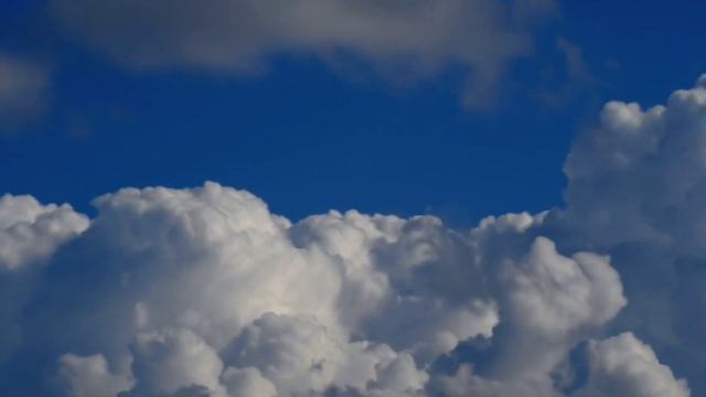 7 ноября 2021 г. смотреть онлайн