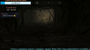 The Elder Scrolls V: Skyrim☼ Квесты стражей.