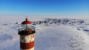 Но я не жалею.