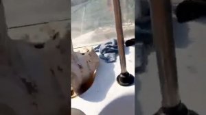 Mikatsu 50 отзыв