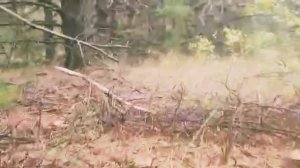 #Удачная грибалка