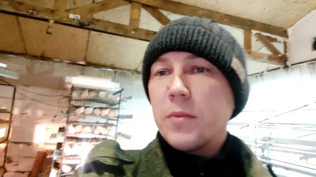 Инкубация техасского перепела в самодельном инкубаторе//самодельный брудер для техасского перепела
