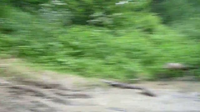 Polaris 500 & Arctic Cat 650 смотреть онлайн