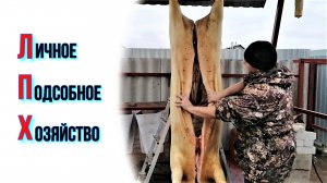 ОБЗОР ПОДСОБНОГО ХОЗЯЙСТВА | ЧТО СДЕЛАНО ЗА ПОЛГОДА