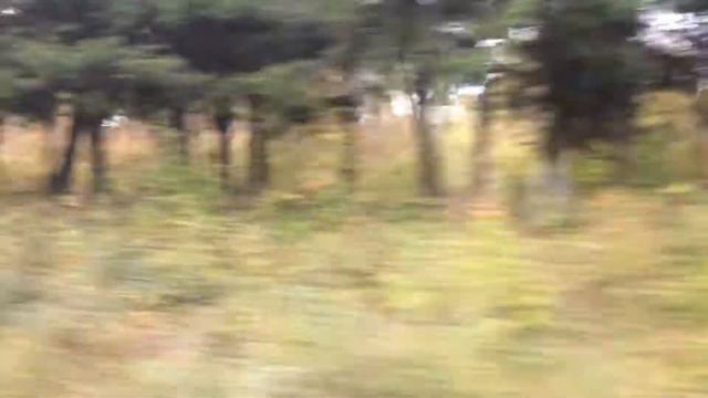 #Ласточка #Сортавала 24 Сентября 2019 смотреть онлайн