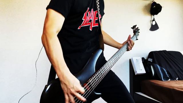 Parkway Drive - Crushed || Bass Cover смотреть онлайн