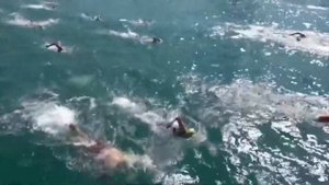 Босфор_Кач. Переплыл босфор, прокачал поток.