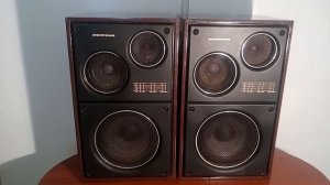 Колонки Электроника 25 АС 326