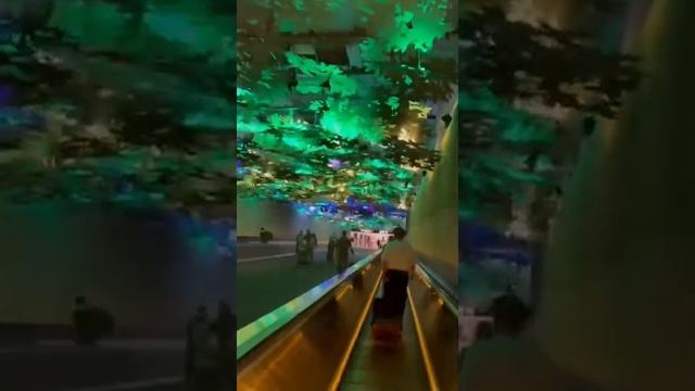 Virtual Forest at Atlanta’s Hartsfield - Jackson International Airport