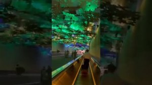 Virtual Forest at Atlanta’s Hartsfield - Jackson International Airport