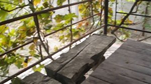 СУПЕР СПОСОБ ПОСАДКИ ОЗИМОГО ЧЕСНОКА.подготовка почвы и чеснока к посадке осенью