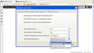 Браузер Opera - Поиск по картинкам Google Image