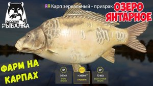 ОТЛИЧНЫЙ ФАРМ И ЦВЕТНЫЕ КАРПЫ НА 1 БОЙЛ НА ЯНТАРНОМ ОЗЕРЕ В РУССКОЙ РЫБАЛКЕ 4 РР4