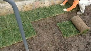 Как постелить рулонный газон за 4 часа?