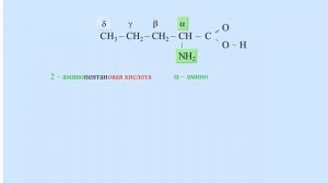 Номенклатура аминокислот