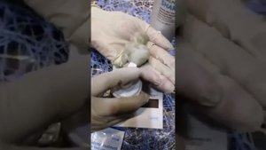 КРАСКА ДЛЯ ВОЛОС АТОМИ