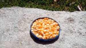 Рецепт Пьяной кукурузы! Как готовить