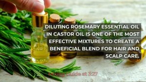 How to Dilute Rosemary Essential Oil in Carrier Castor Oil for Hair Growth