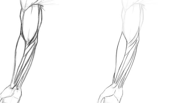 Lesson 02. Drawing the Arm with the Palm Facing Upward Refinement