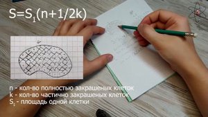 Как найти площадь неправильной фигуры? Метод палетки.