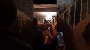 Цыганская лошадь ?