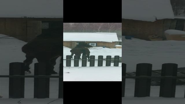 Новые постояльцы.