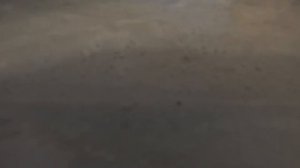 Как варится мормыш, вид изнутри кастрюли.