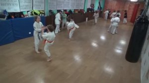 Тренировка средней группы 19 февраля 2021 года. Киокусинкай Каратэ Климовск