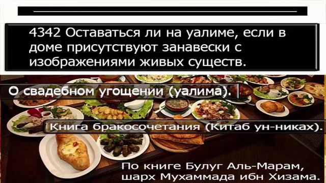 4342 Оставаться ли на уалиме, если в доме присутствуют занавески с изображениями живых существ смотреть онлайн