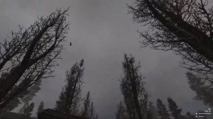 Прохождение SFZ Project: Episode Zero | Сталкер зеро (часть 1)