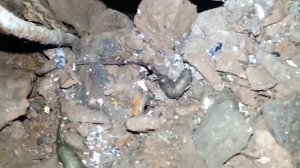 Мутанты - Опарыши с хвостами!