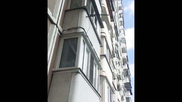 Эониумы на кондиционерах смотреть онлайн