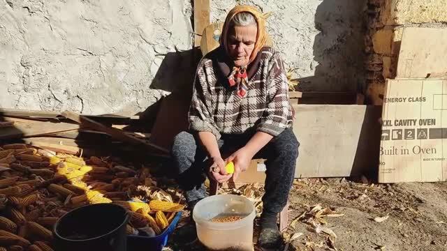 Курям подрезаем крылья. Готовим рыбу. Бабушка теребит кукурузу. Сельская жизнь.mp4 смотреть онлайн