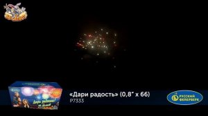 Фейерверк Р7333 Дари радость! (0,8" х 66)