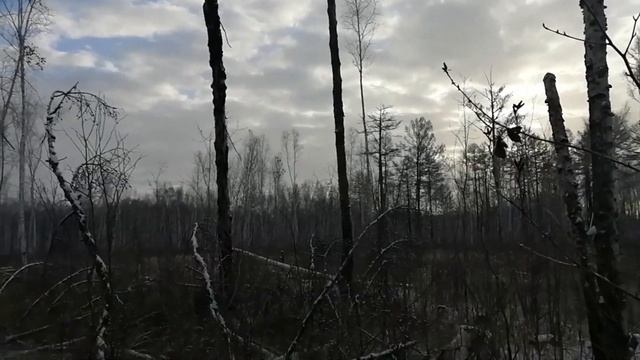 Охота на соболя!!! Соболь камекадзе!!! смотреть онлайн