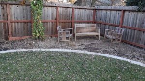 January Backyard "Garden Tour" :: Northern California Zone 9b