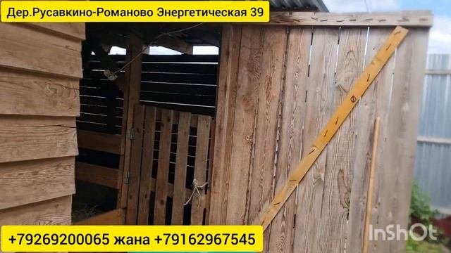 Продаются Живые бараны и козы #Москва #Бараны