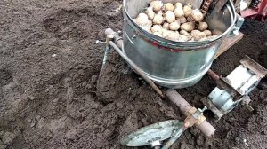 Пробный пуск самодельной картофеле-сажалки к мотоблоку МТЗ!!!