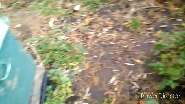 Обработка пчёл от клеща (((ПОЛИСАНОМ))) смотреть онлайн