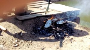 ГОТОВИМ В ПОХОДЕ: мясо в фольге на костре