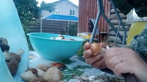 Как перебирать, чистить и сушить боровики, чтобы они оставались светлыми и красивыми. Мой способ.